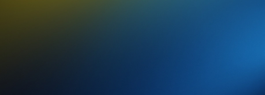 Reddy Book Cover Image