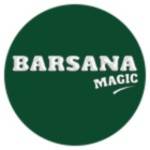 barsanamagic Profile Picture