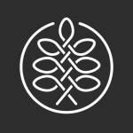 Aiden Smiths Profile Picture