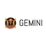 Kringloop Gemini Profile Picture